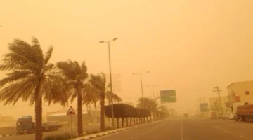 رياح قوية تهدد الإسماعيلية.. إنذار من هيئة الأرصاد الجوية